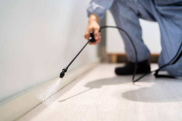 Licensed Rodent Control service in Kendall County County, TX - Nex Pest Control
